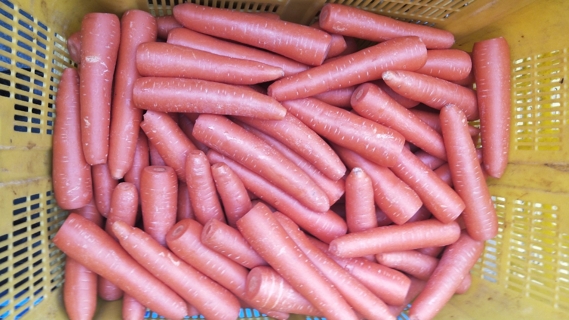 1594892948166606.jpg 微信圖片_20191227110727.jpg