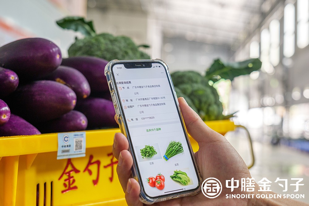 1629101617136819.jpg 1.jpg