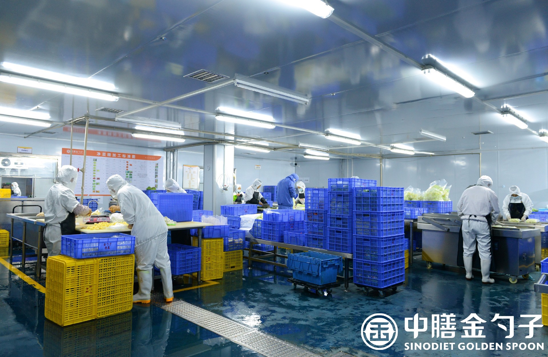 1630030800626157.jpg 1630030800626157.jpg