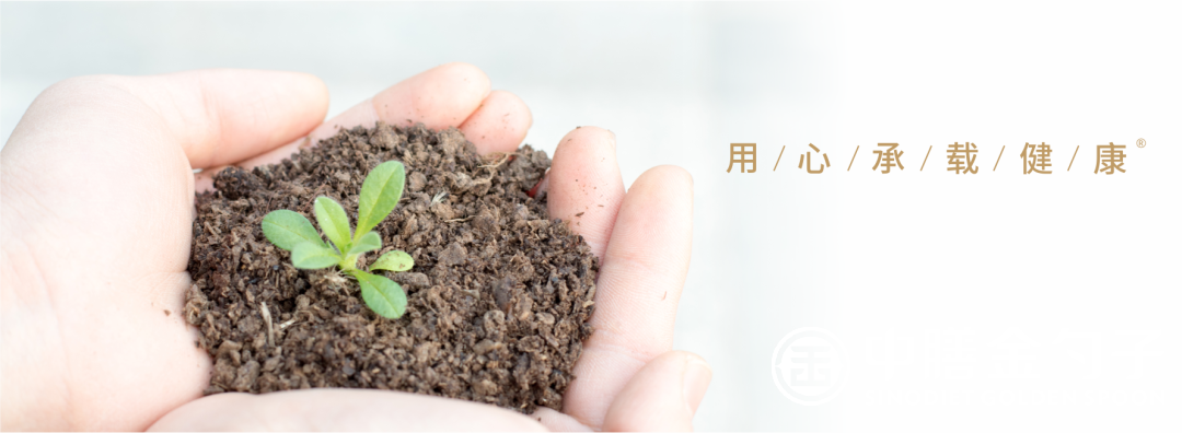 1647920568844395.png 0.png