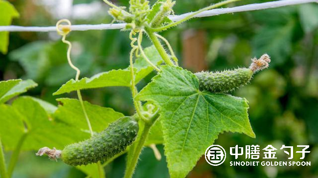 1656639592100593.png 圖片3.png