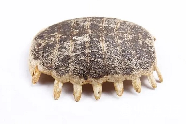 1659316062113014.png 圖片1.png